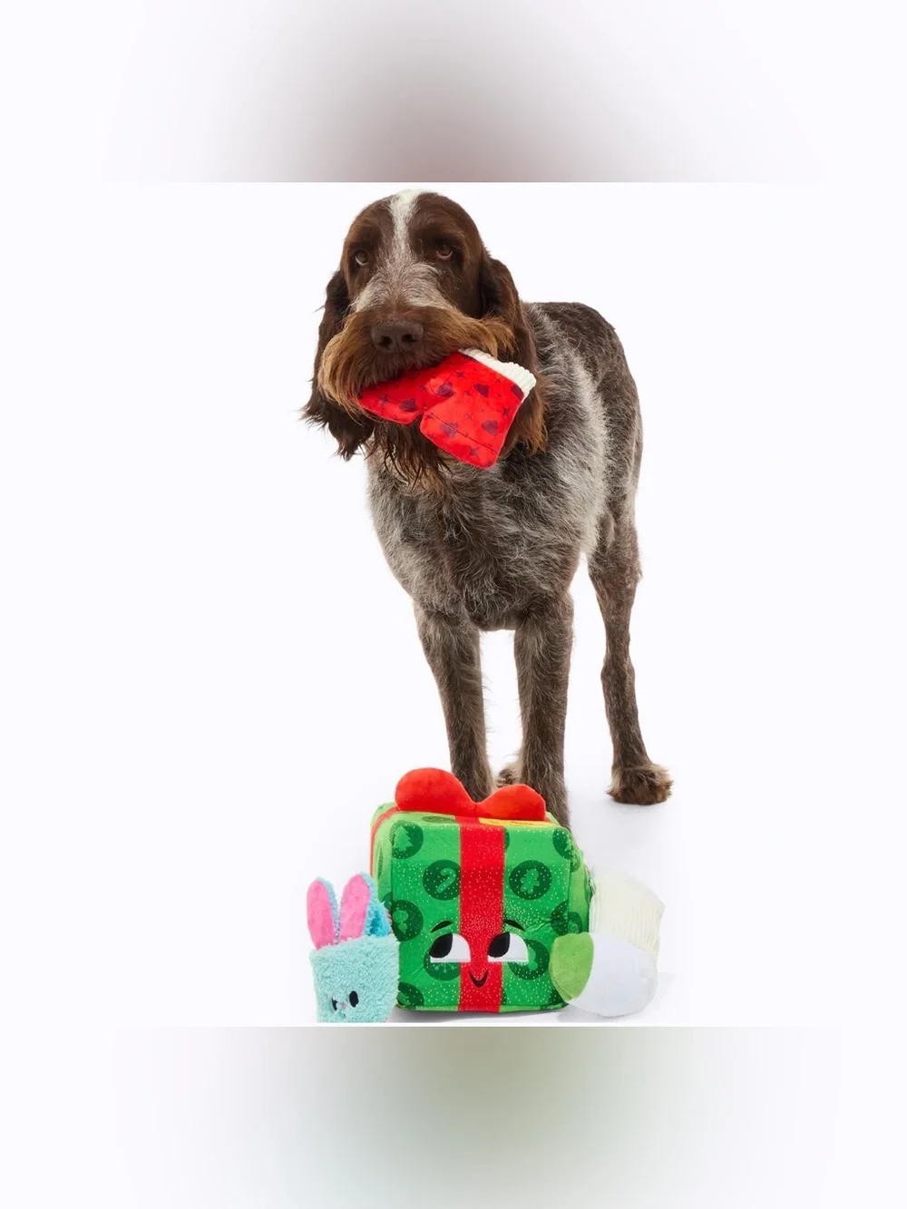 Bark Box Holly Day’s Presents XL Multi-part toy NEW just released!!